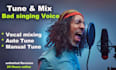 auto tune and manually tune your vocal make you professional