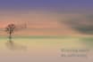 compose relaxing and meditation music