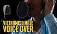 do professional vietnamese male voice over