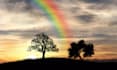 create original relaxing, meditation, ambient music