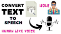 convert text to speech or text to audio in 24 hrs