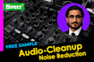 remove background noise and clean up your audio in 2 hrs