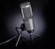 do english and estonian voice overs
