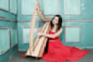 record top quality harp and deliver in 24h