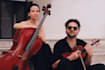 record cello violin viola