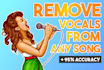 remove vocals or background music from your song or video