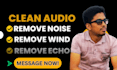 remove wind, echo from your audio video