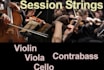 string session recording, violin,viola, cello and contrabass