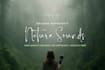 record original nature sounds and ambient field recordings