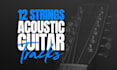 record 12 strings acoustic guitar in any genre