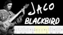 create most popular bass guitar tabs and notations for you