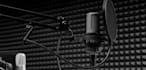 record a professional arabic voice over