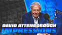 do an incredible david attenborough impression
