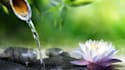 produce meditation and relaxing music