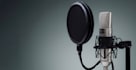 do amharic voice over task