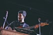 be your fretless bass player forever