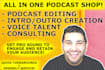 edit your podcast fast and professionally