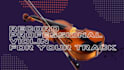 record professional violin and viola for your song