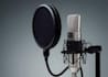 do voice over in tamil and english