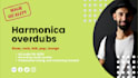 record amazing harmonica solos for your tracks