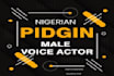 voice your nigerian pidgin english voice over scripts