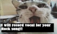 record male vocals for your punkrock and grunge