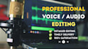 give a professional audio cleanup and enhance service