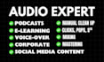 remove static noise, hiss, or hum, fix, and enhance audio for video