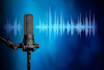 do female gujarati  voiceover