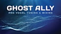 professionally tune, edit and mix your vocal
