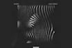 produce high quality electronic music
