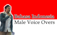 do bahasa indonesia male voice over or dubbing
