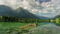 compose you original meditation and relaxation music with its ownership rights