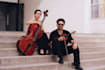 arrange and compose violin, viola, cello