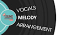 compose a melody for your song, record vocals, arrangement