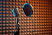 deliver an authentic, relatable, and professional voiceover