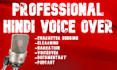 provide hindi voice over artist