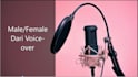 provide you dari,pashto, hazaragi, and english voice over
