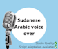 provide sudanese arabic voice over