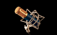do professional  voiceover in spanish or english