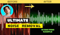 remove noise from your audio or video file