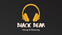 bring your songs to life, professional mix and mastering engineer