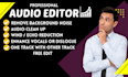 remove background noise, do audio clean up, audio editing