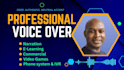 record a professional, male, english voice over