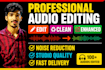 edit, remove background noise, wind, echo, fix, clean audio in video