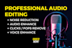 remove noise, clean and edit your audio file