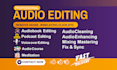 do audio editing to remove background noise, wind, echo, repair, clean, and fix