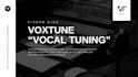 manually tuning your vocal to perfection