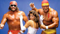 have read your script as macho man or hulk hogan wwe wrestling  msg