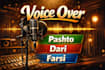 record pashto and dari voice over professionally